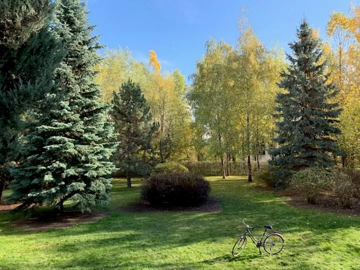 oferta zajęć dodatkowych szkoła język angielski