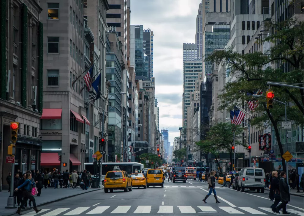 warsztaty edukacyjne angielski